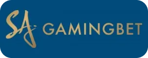 Visa Logo
